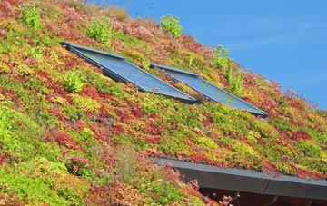 Bramley Head living roof systems